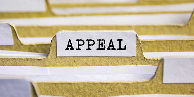 Appeal Attorney in Tampa Florida