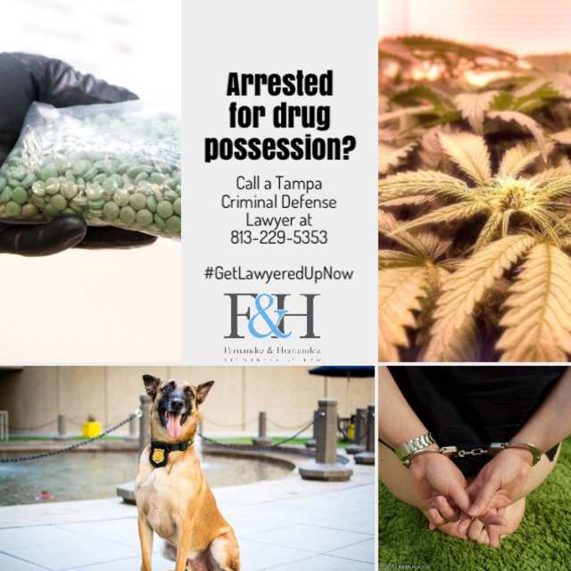 Arresteed for drug posession. Call Tampa criminal defense lawyer at 813-229-5353