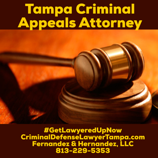 Tampa Criminal Appeal Attorney Daniel Fernandez